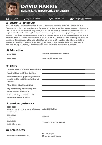 Engineer resume example